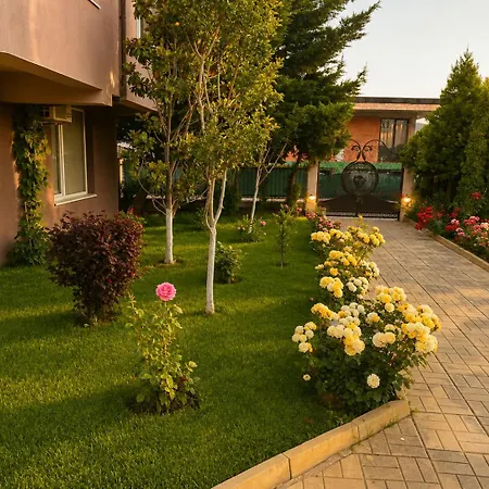 Apartment Lifestyle 1 Ap - Pool And Piece